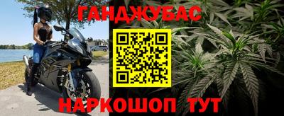 сатива Краснознаменск